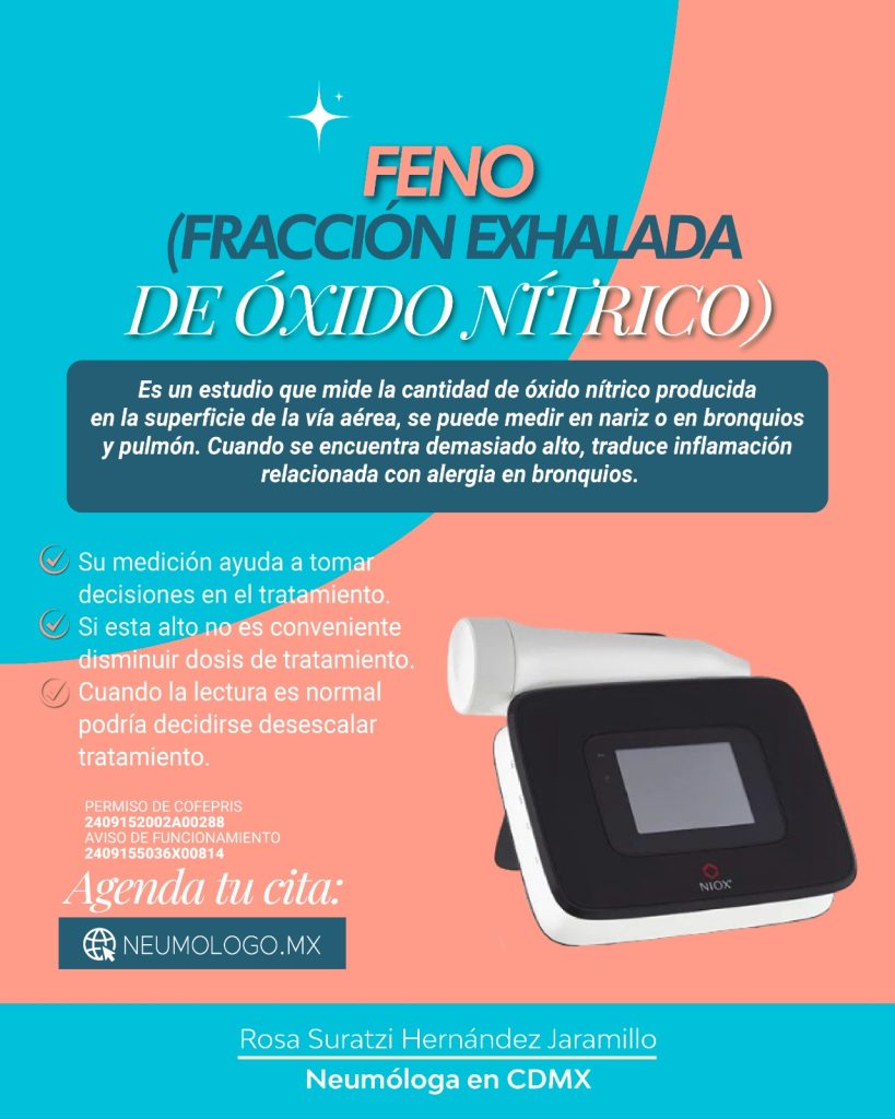 feno2.jpg